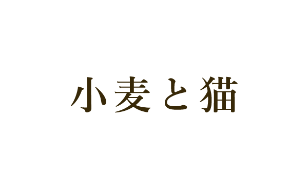 小麦と猫